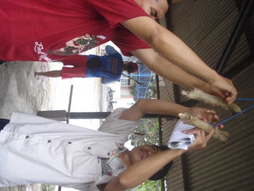 DSC05286_1